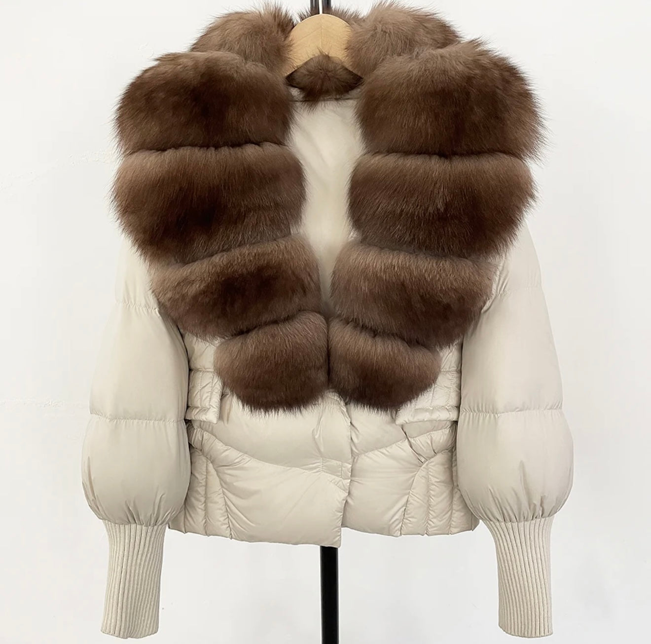 Chocolate Fox Puffer