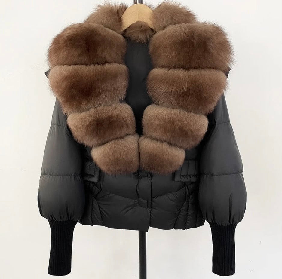 Chocolate Fox Puffer